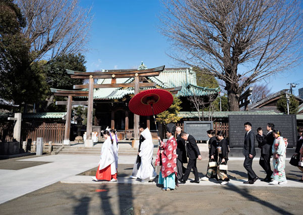 晴天の神社境内にて、赤い大きな番傘を差し神職や巫女に導かれて歩く新郎新婦と参列者の参進の儀