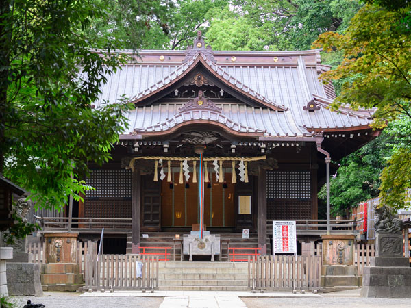 緑に囲まれた代々木八幡宮の社殿（拝殿）正面