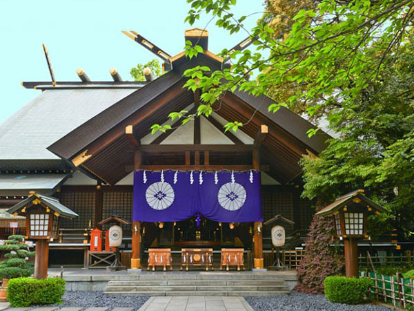 紫の幕に白い神紋が入った神社の社殿と、両脇に置かれた灯籠