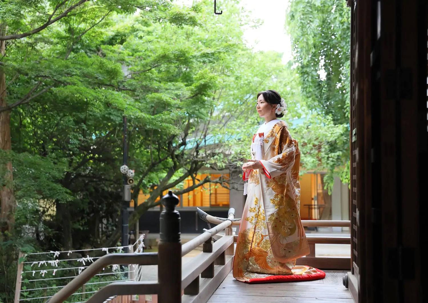 青もみじに囲まれた神社の回廊に立つ、金糸の鳳凰柄の打掛を着た花嫁