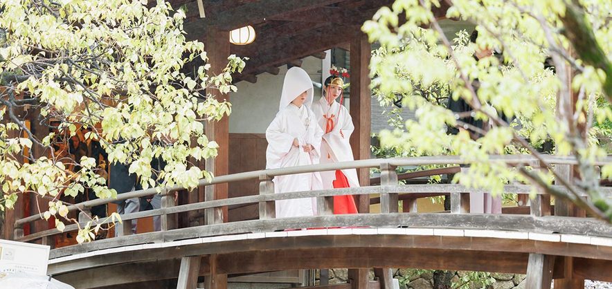 湯島天神の屋根付きの太鼓橋を、巫女に先導されて渡る白無垢の花嫁