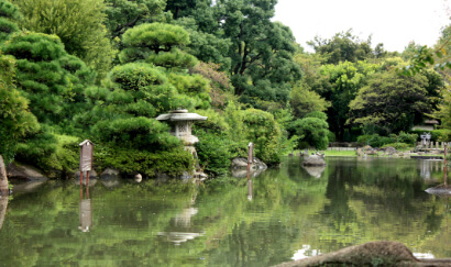 目の前の池に公園の森が写り込んでいる