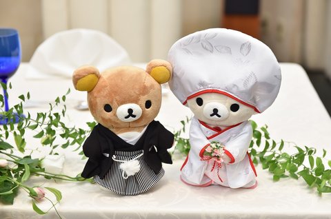 猫とクマと歓談。