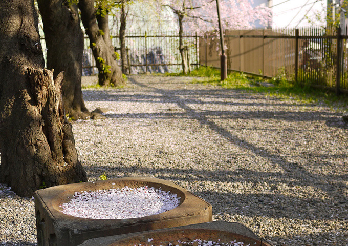 市谷亀岡八幡宮