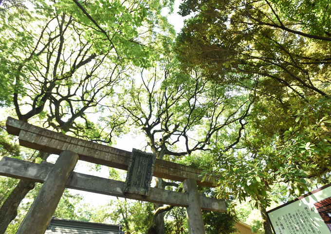 赤坂氷川神社